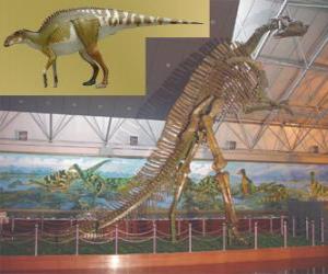 yapboz Zhuchengosaurus bilinen en büyük hadrosaurids biridir